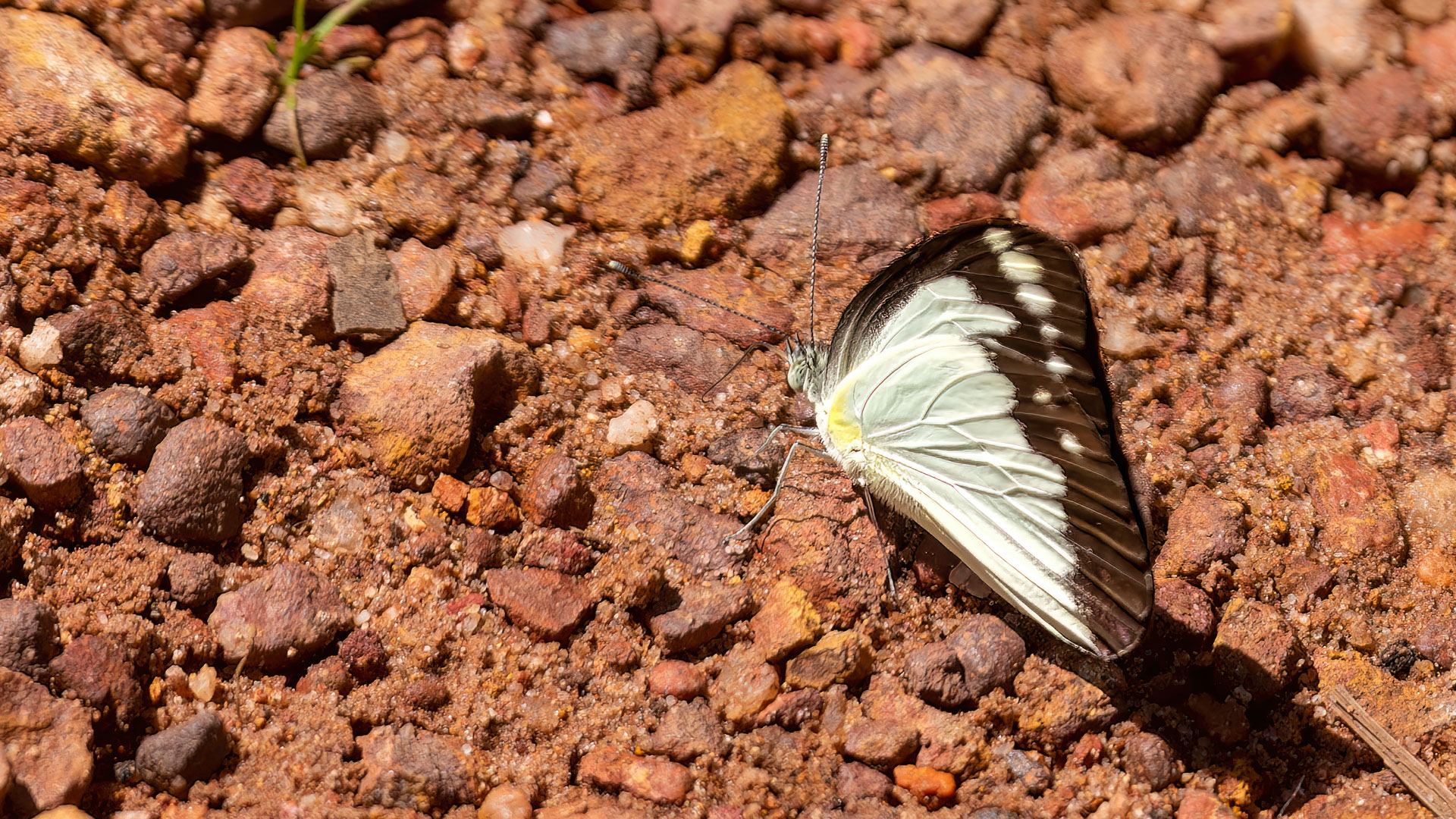 Kakadu National Park - Gubara Pools Walk